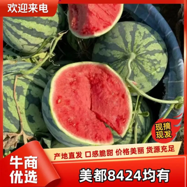 浙江台州三门露天西瓜上市中~欢迎各地客商前来咨询