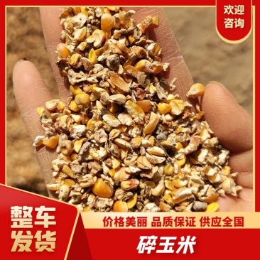 碎玉米9个粮，今年的新粮，鸡鸭鹅养殖专用
