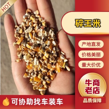 碎玉米东北粮8-9个粮无土无沙没有霉变养殖专用