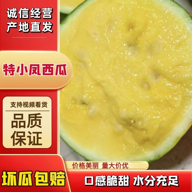 特小凤西瓜-量大从优-价格优惠-回购率超高