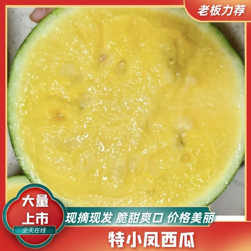 特小凤西瓜-量大从优-价格优惠-回购率超高