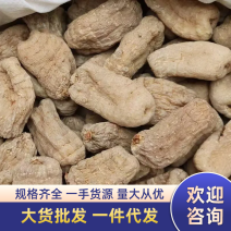 昭通小天麻长期现货供应产品批发大量现货欢迎咨询