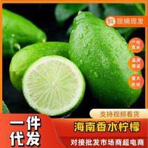 【一件】海南香水柠檬规格齐全全国发货欢迎