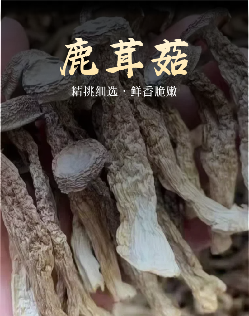 鹿茸菇，去根鹿茸菌，厂家直销一手货源价格优惠