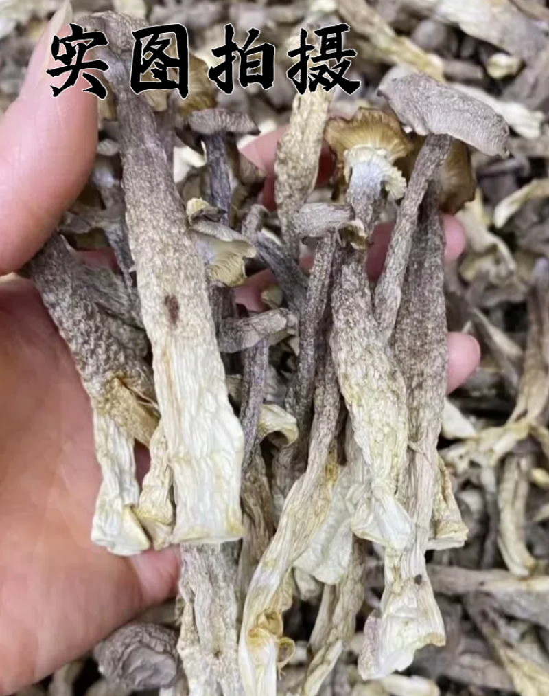 鹿茸菇，去根鹿茸菌，厂家直销一手货源价格优惠