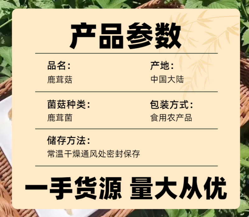 鹿茸菇，去根鹿茸菌，厂家直销一手货源价格优惠