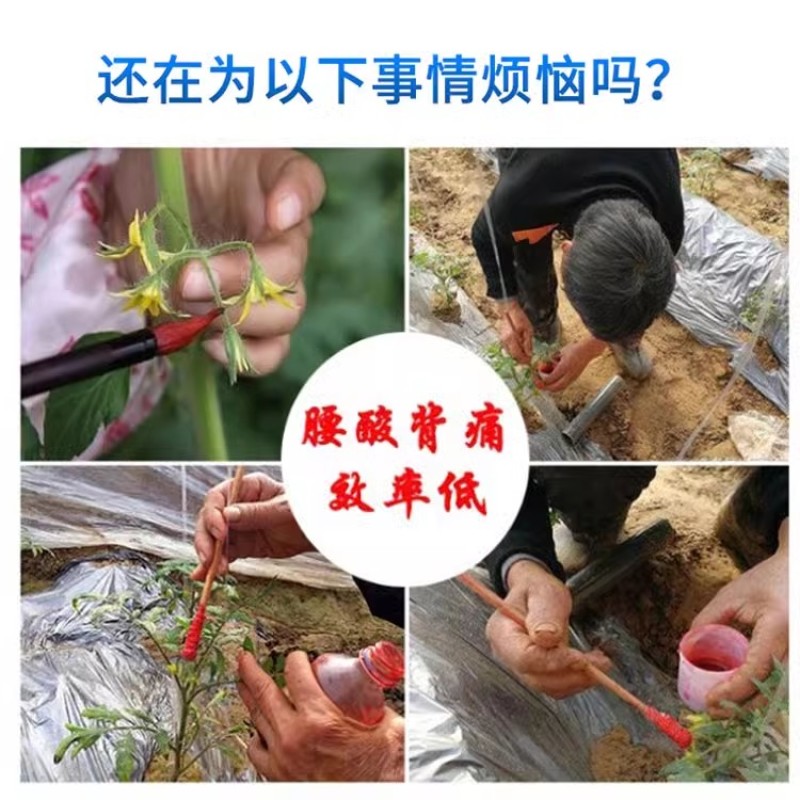 科能多功能锂电池电动授粉器番茄喷枪西红柿黄瓜甜瓜西瓜