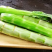 【精品】莴苣莴笋大量新鲜供应，可视频看货欢迎来电