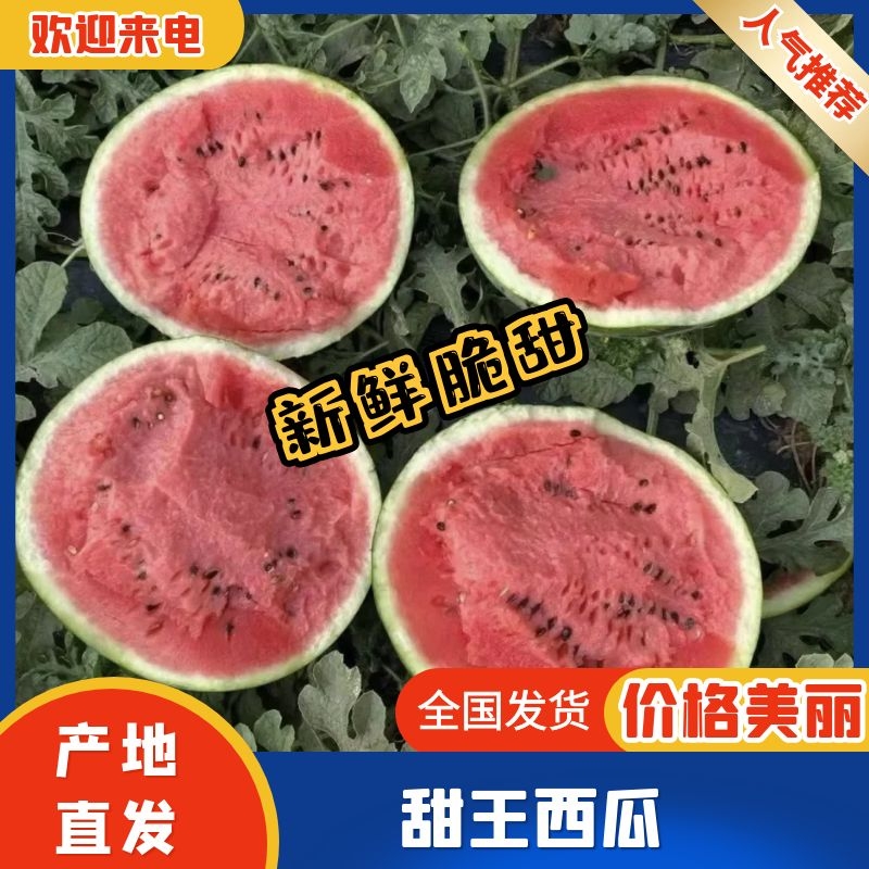 [甜王西瓜批发]宁夏中卫沙坡头区西瓜 0.90元/斤【优选西瓜】 _ 一亩田