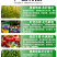 好棵叶绿素增产型叶面肥喷施肥料彭果增产生根壮苗蔬菜果树