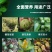好棵叶绿素增产型叶面肥喷施肥料彭果增产生根壮苗蔬菜果树