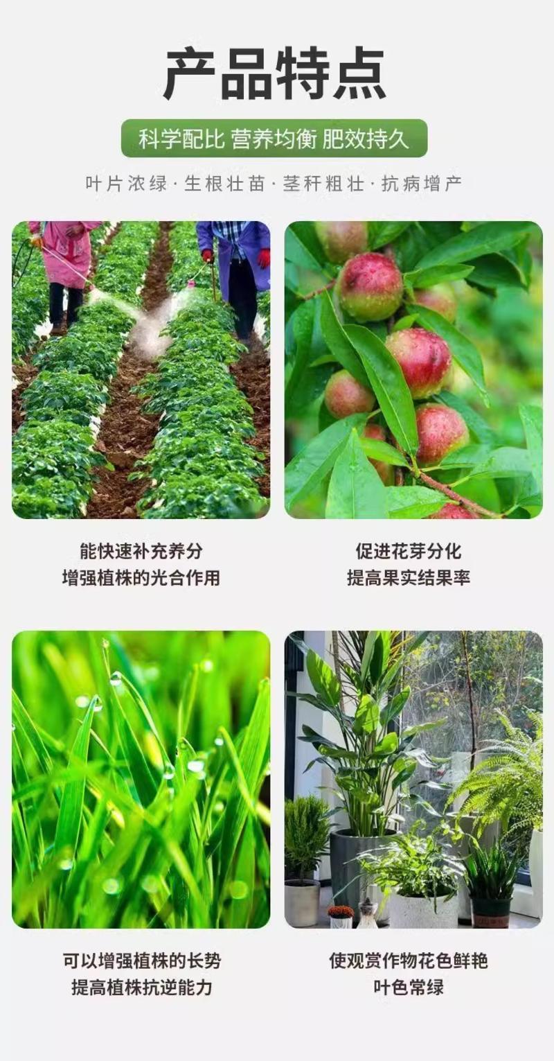 铜秀才绿叶保丰酶抗病毒叶面肥植物枯黄通用型农用增厚茎秆粗