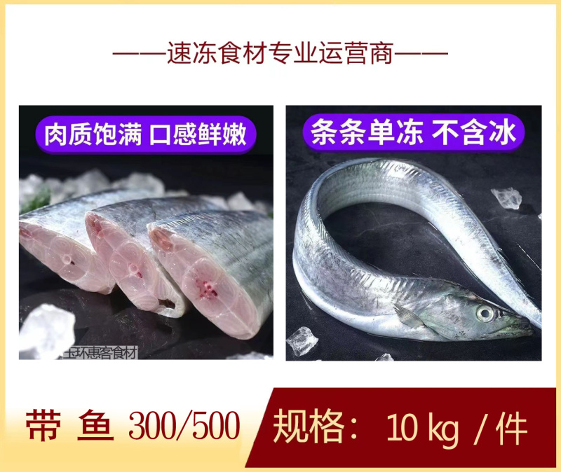 带鱼300/500商用食材批发