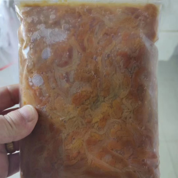 鲜冻海参肠