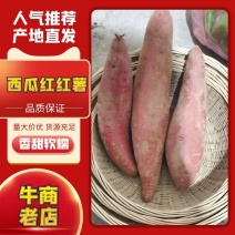 山东夏津烟薯，烤薯，电商口感甘甜，适合烤、蒸、等食用方法