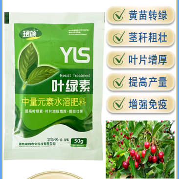 叶绿素叶面肥促花增绿增厚提苗壮棵含氨基酸水溶肥料农用