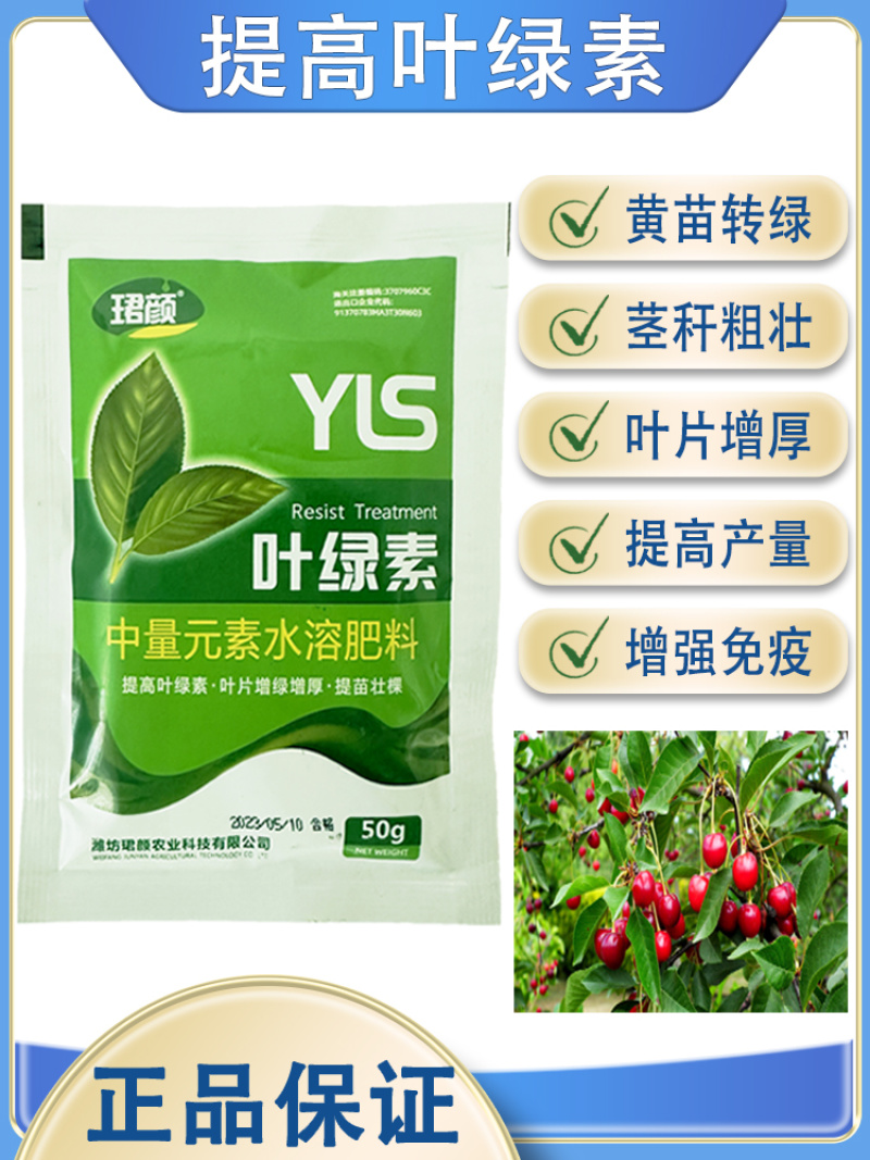 叶绿素叶面肥促花增绿增厚提苗壮棵含氨基酸水溶肥料农用