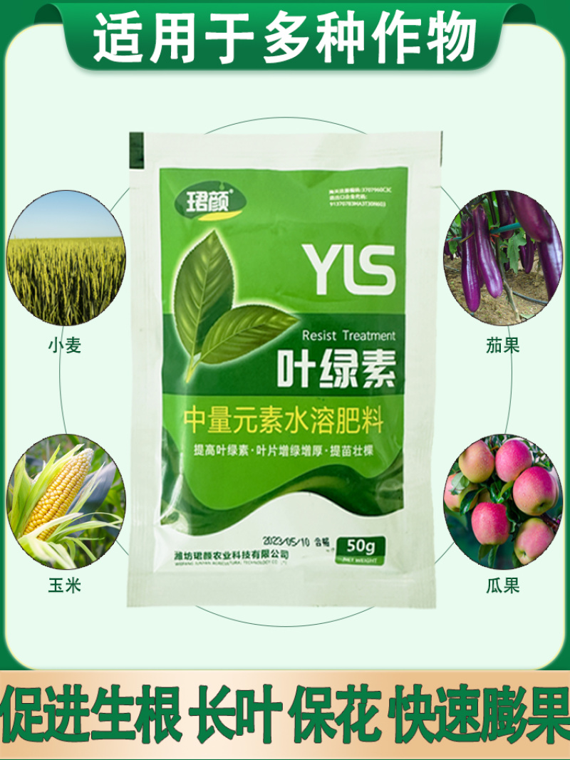 叶绿素叶面肥促花增绿增厚提苗壮棵含氨基酸水溶肥料农用