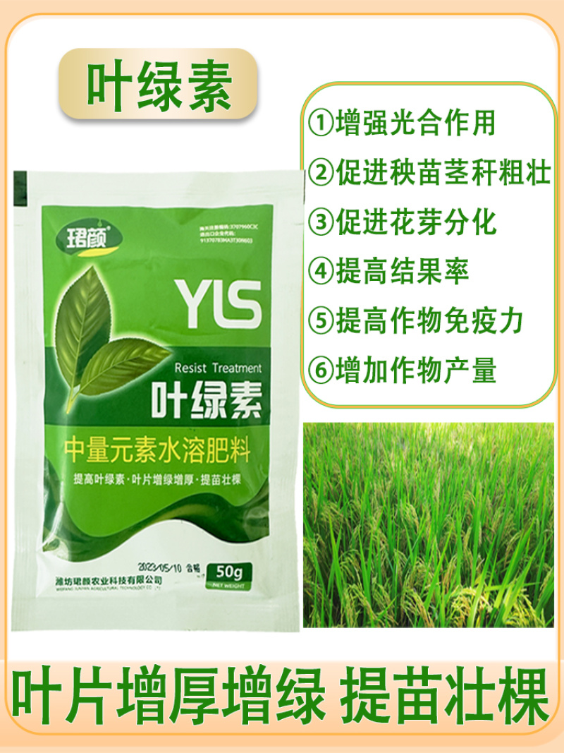 叶绿素叶面肥促花增绿增厚提苗壮棵含氨基酸水溶肥料农用