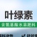 叶绿素叶面肥促花增绿增厚提苗壮棵含氨基酸水溶肥料农用