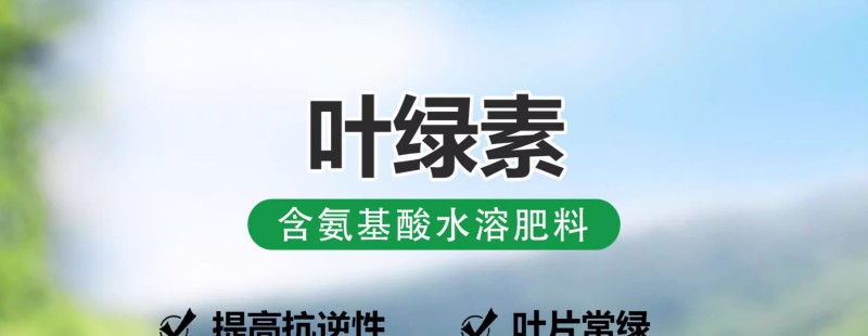 叶绿素叶面肥促花增绿增厚提苗壮棵含氨基酸水溶肥料农用