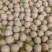 广东罗定牛筋牛筋丸，量大质优，价格优惠，全国直销