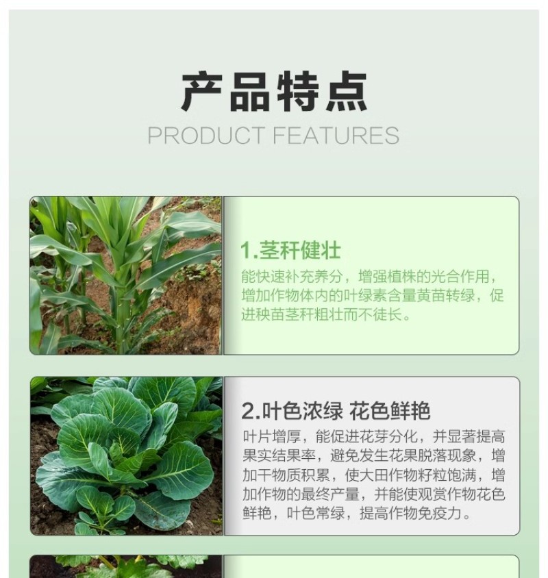 叶绿素叶面肥促花增绿增厚提苗壮棵含氨基酸水溶肥料农用
