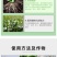 叶绿素叶面肥促花增绿增厚提苗壮棵含氨基酸水溶肥料农用