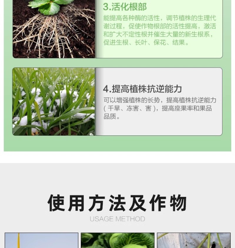 叶绿素叶面肥促花增绿增厚提苗壮棵含氨基酸水溶肥料农用