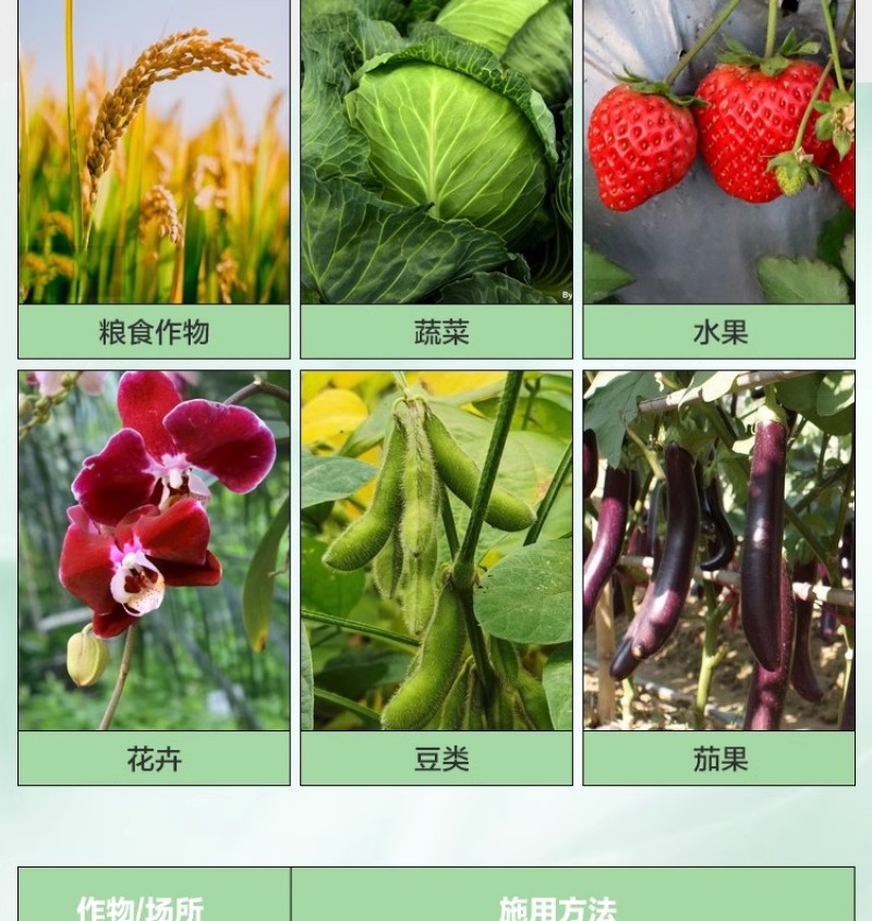 叶绿素叶面肥促花增绿增厚提苗壮棵含氨基酸水溶肥料农用