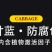 菜香源白菜甘蓝防腐包心剂加速包心防腐烂抗重茬抗冻抗旱产量