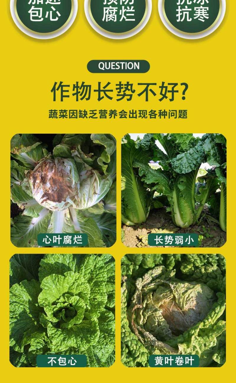 菜香源白菜甘蓝防腐包心剂加速包心防腐烂抗重茬抗冻抗旱产量