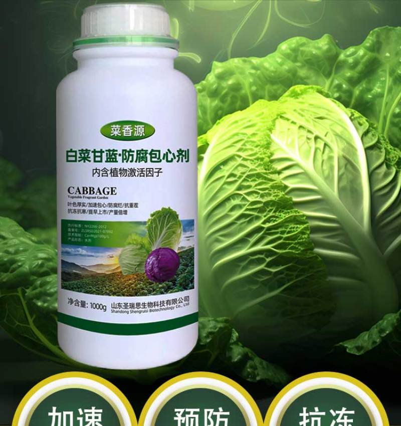 菜香源白菜甘蓝防腐包心剂加速包心防腐烂抗重茬抗冻抗旱产量