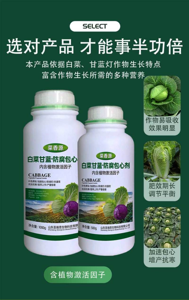 菜香源白菜甘蓝防腐包心剂加速包心防腐烂抗重茬抗冻抗旱产量