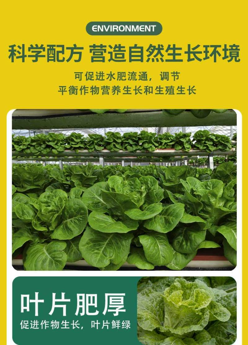 菜香源白菜甘蓝防腐包心剂加速包心防腐烂抗重茬抗冻抗旱产量