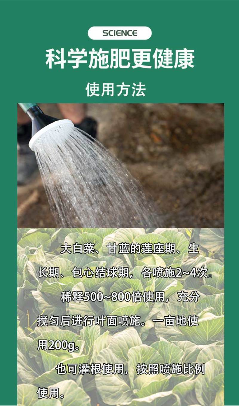 菜香源白菜甘蓝防腐包心剂加速包心防腐烂抗重茬抗冻抗旱产量