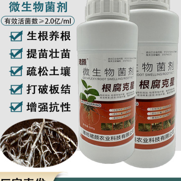 珺颜根腐克星预防根腐少根弱根有效生根壮苗有效改善疏松土壤