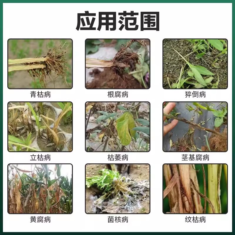 珺颜根腐克星预防根腐少根弱根有效生根壮苗有效改善疏松土壤