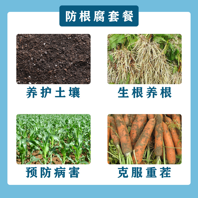 防根腐套餐珺颜枯草芽孢杆菌哈茨木霉菌矿源黄腐酸钾防治土传