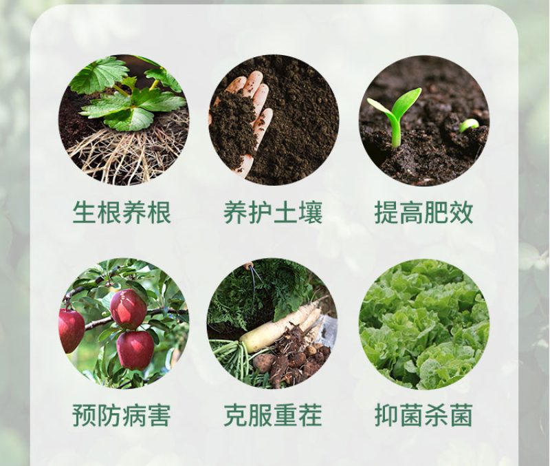 防根腐套餐珺颜枯草芽孢杆菌哈茨木霉菌矿源黄腐酸钾防治土传