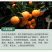 防根腐套餐珺颜枯草芽孢杆菌哈茨木霉菌矿源黄腐酸钾防治土传