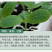 防根腐套餐珺颜枯草芽孢杆菌哈茨木霉菌矿源黄腐酸钾防治土传