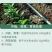 防根腐套餐珺颜枯草芽孢杆菌哈茨木霉菌矿源黄腐酸钾防治土传