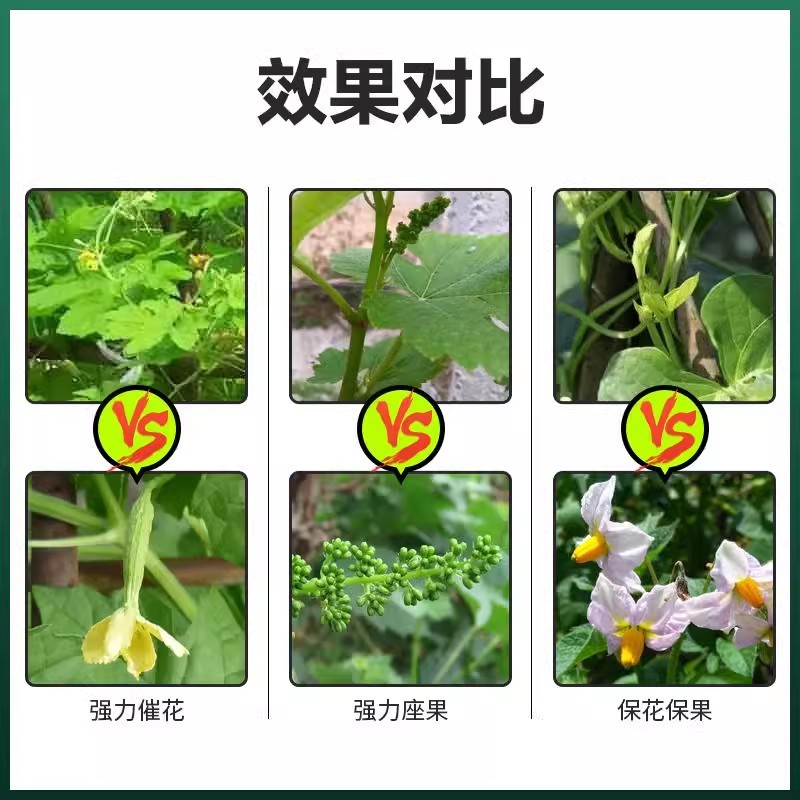 促花催花座果灵花多花大提高座果率果树蔬菜花卉通用美果靓果