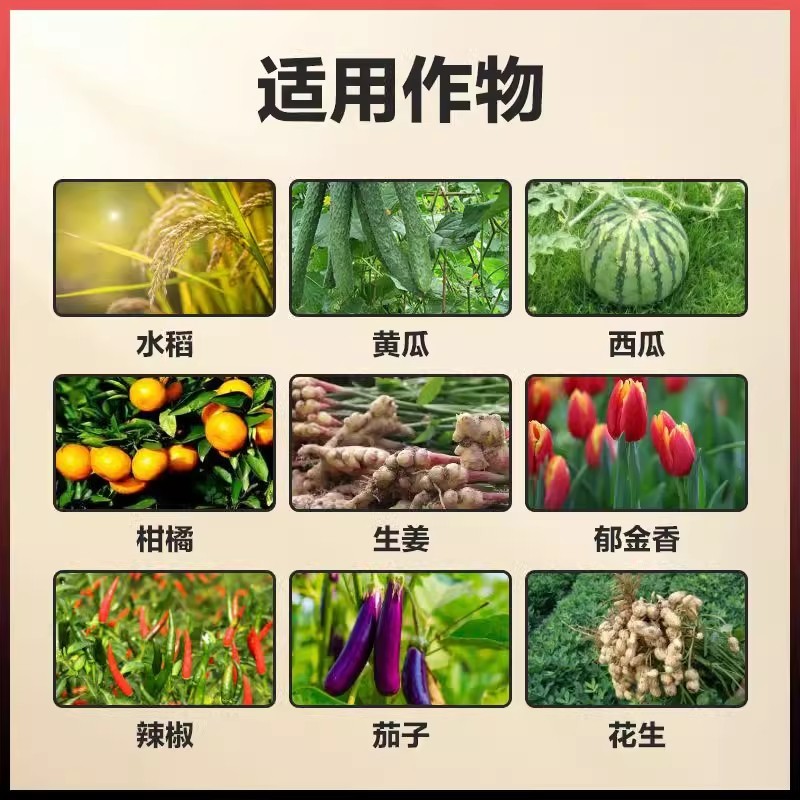 促花催花座果灵花多花大提高座果率果树蔬菜花卉通用美果靓果