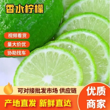 广东香水柠檬品质保证自家基地接商超市场电商一件代发