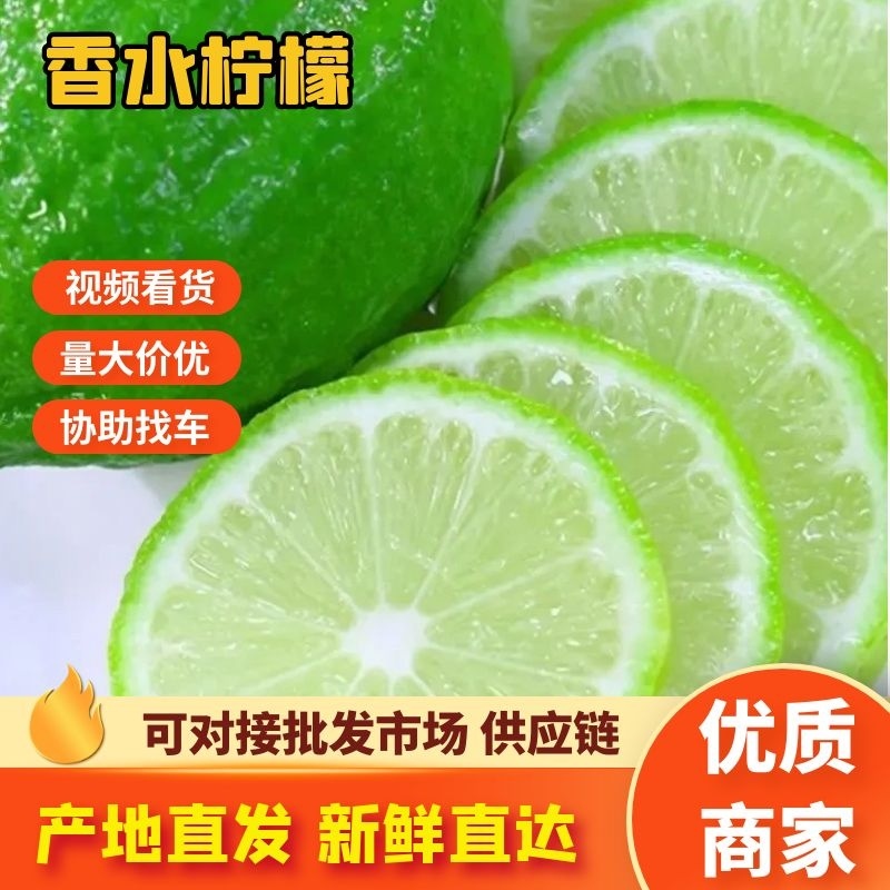广东香水柠檬品质保证自家基地接商超市场电商一件代发