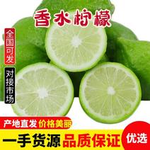 广东香水柠檬自家基地品质保证欢迎联系接商超市场电商