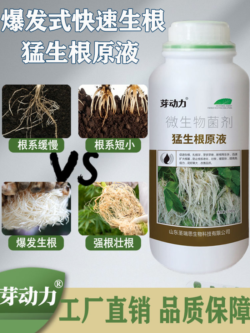 芽动力猛生根原液生根剂生根壮苗促长壮根快速生根微生物菌剂