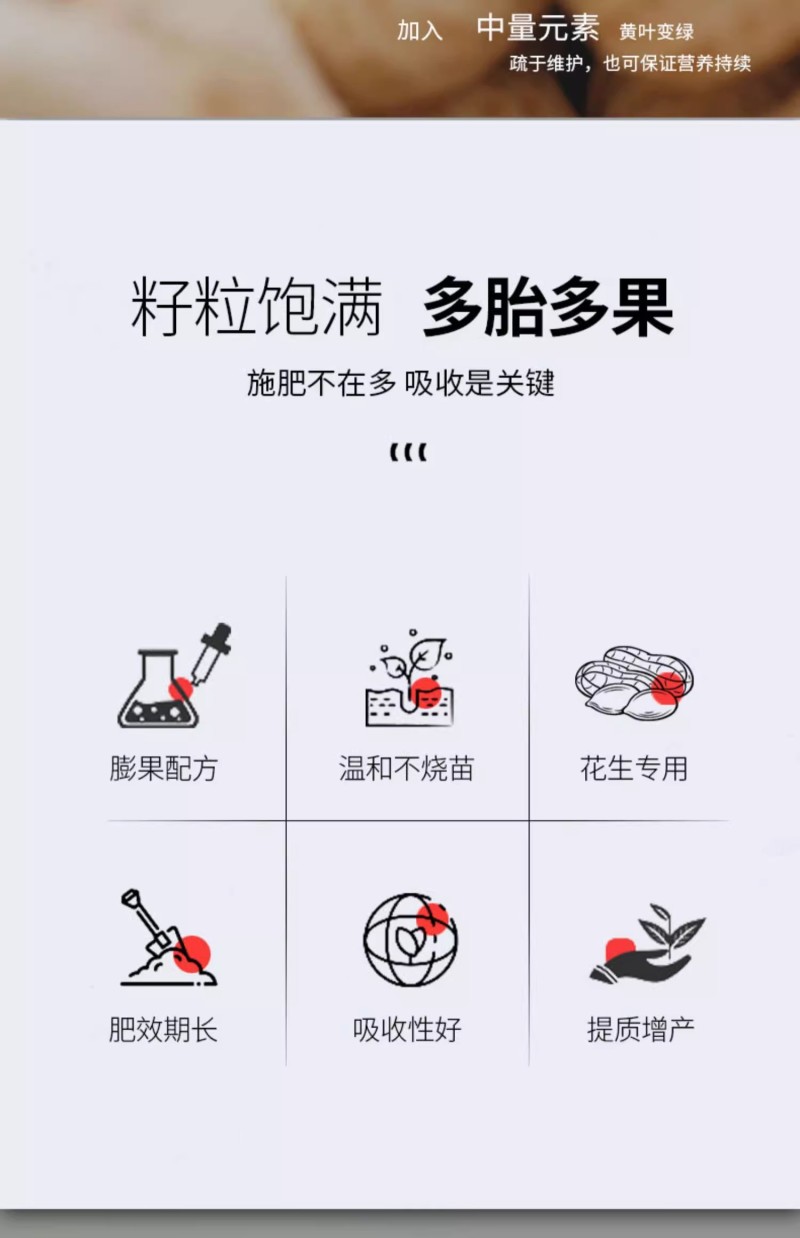 芽动力花生粒粒饱膨大壮棵壮苗籽粒饱满增产增收多胎多果专用